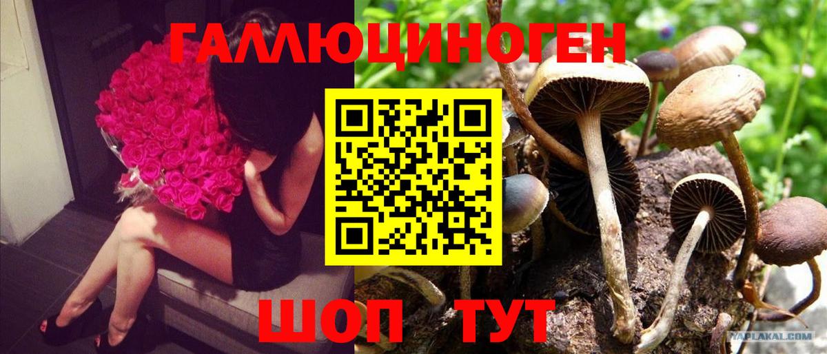Галлюциногенные грибы Magic Shrooms  Вход с VPN  Псилоцибиновые грибы ЛСД  Аша 